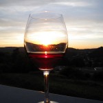 Wein und seine gesundheitsfördernde Wirkung