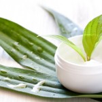 Cremes und Salben auf Basis pflanzlicher Inhaltsstoffe